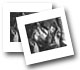Index visuel - Thumbnails